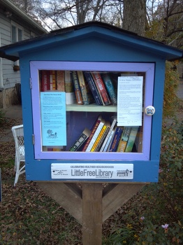 A LittleFreeLibrary spotted in front of a house.